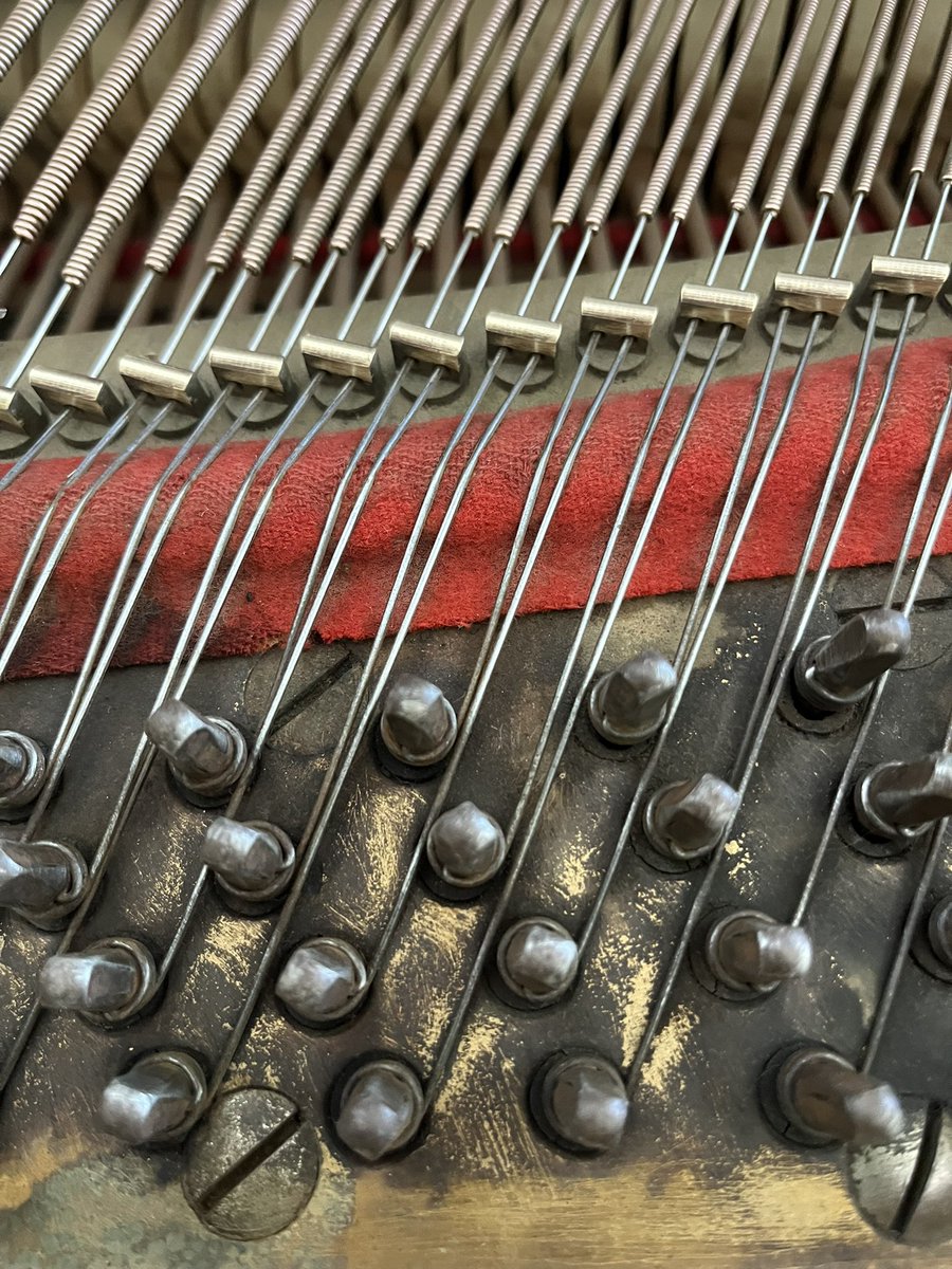 evanaustinauthr's tweet image. They don’t all come sparkling clean, but “cleaner than it was” is still a win! #dayjob #pianotechnician #pianotuner #grandpiano