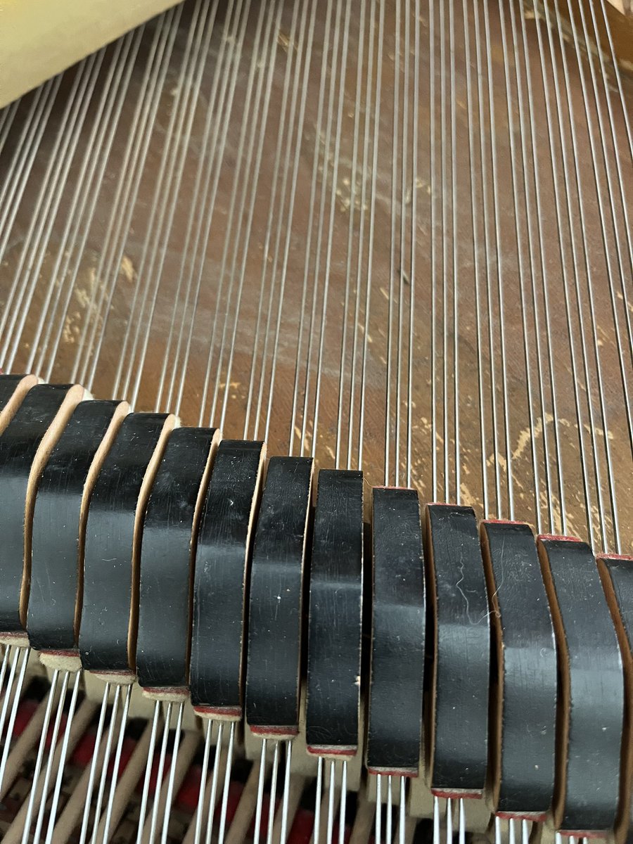 evanaustinauthr's tweet image. They don’t all come sparkling clean, but “cleaner than it was” is still a win! #dayjob #pianotechnician #pianotuner #grandpiano
