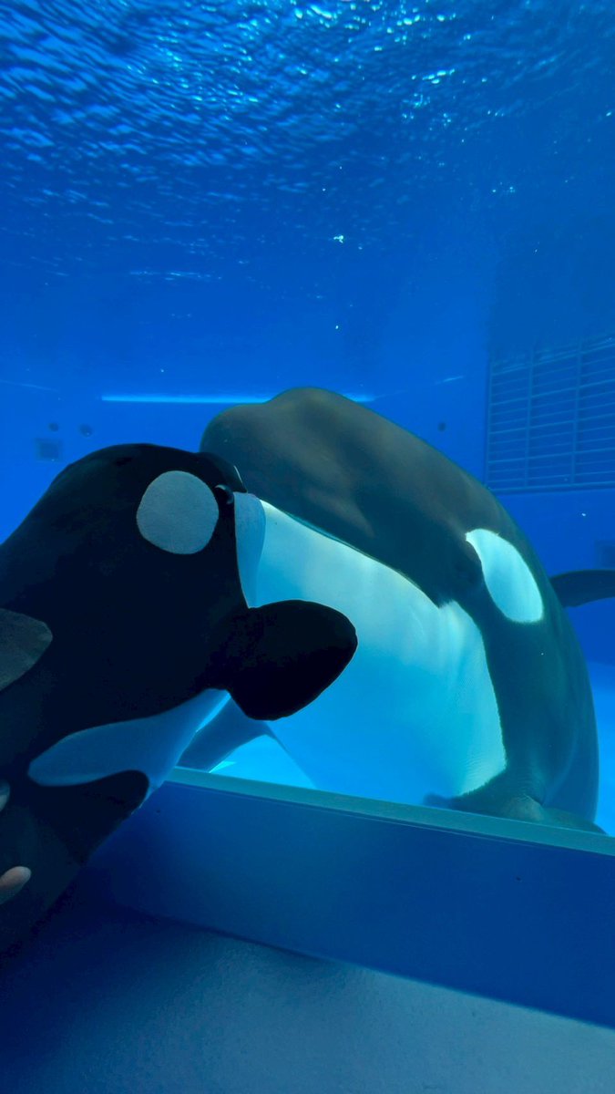 うーたん tweet media