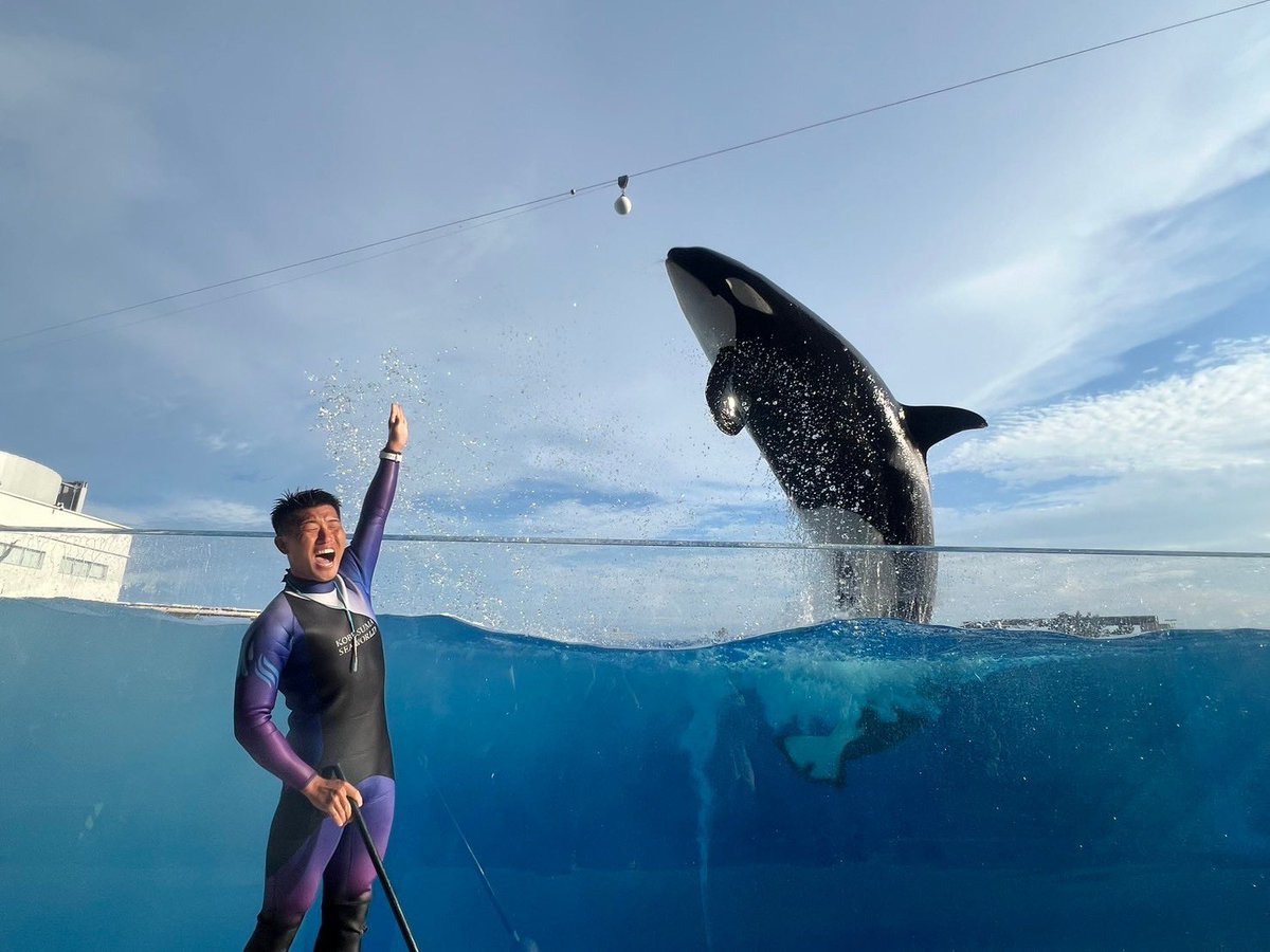 うーたん tweet media