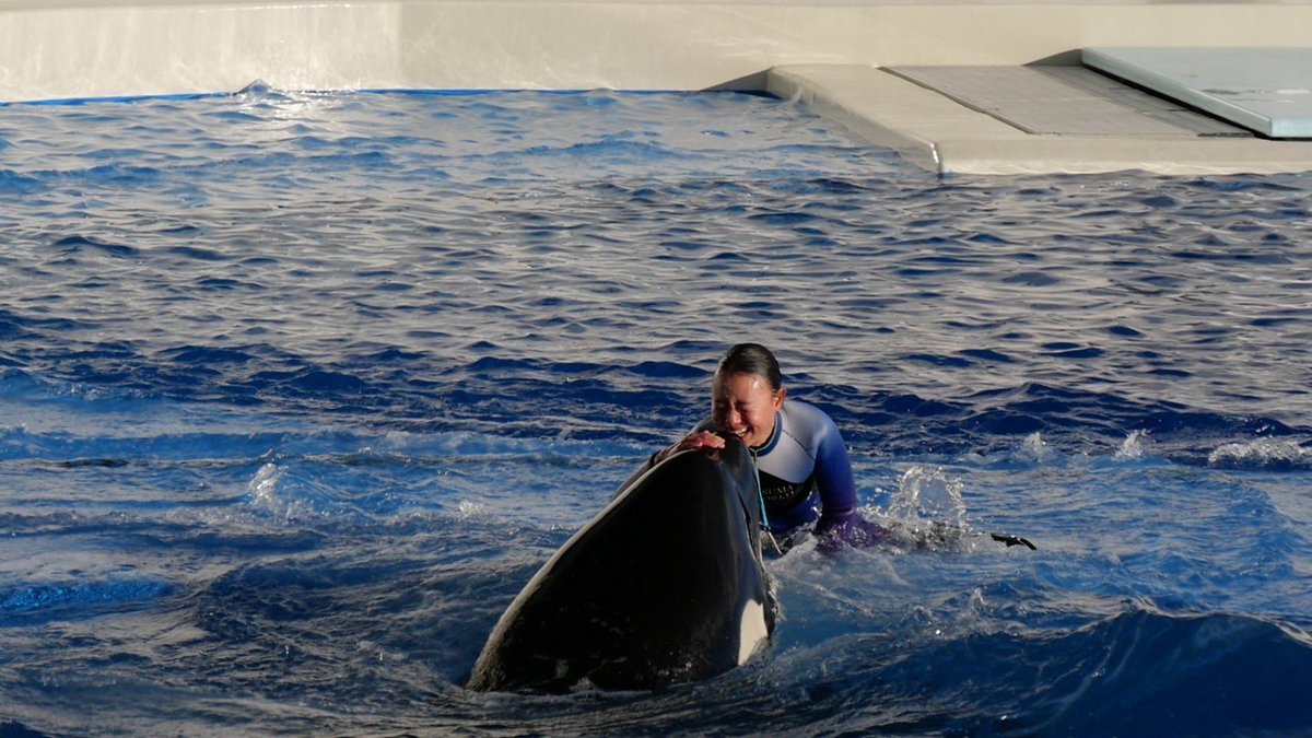 うーたん tweet media