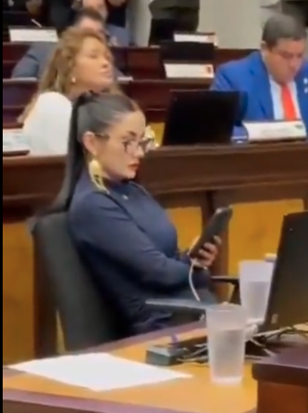 PalacioEmilio's tweet image. No sé por qué esta foto me recordó a una avestruz metiendo la cabeza en un hueco para no ver la realidad.