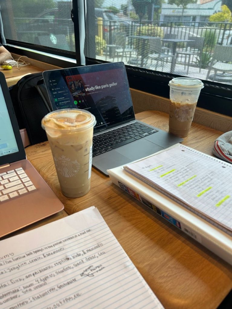 ephhemere's tweet image. study, study, study