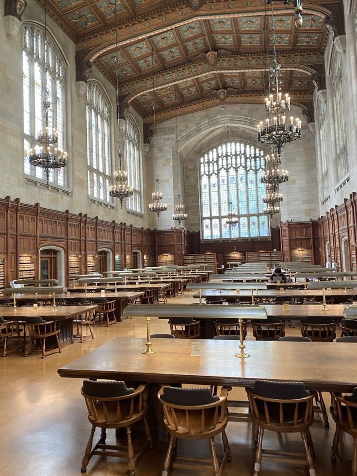 ephhemere's tweet image. study, study, study