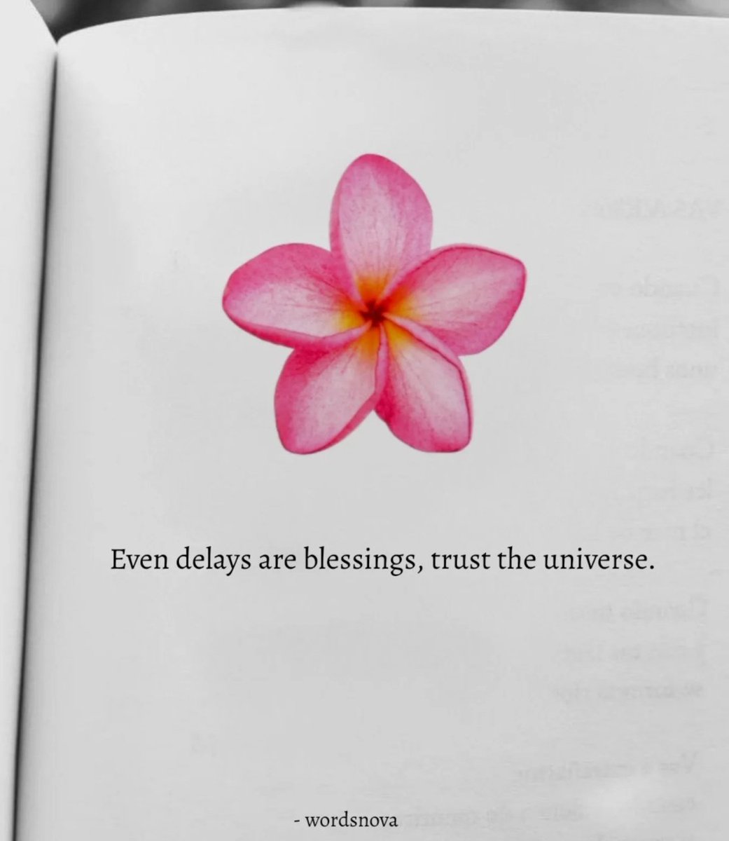 🍂 (@lovandfear) on Twitter photo 