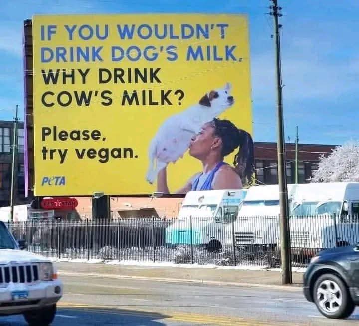 would you try it
