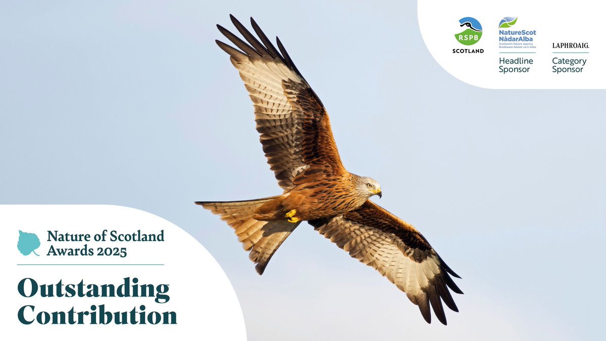 Nature of Scotland Awards (@natureofscot) on Twitter photo Do you have a wildlife hero who’s making a lasting impact by conserving species, restoring vital habitats, or leading powerful campaigns for change? Nominate them for a #NatureOfScotland award by 27 May! buff.ly/V8jWgSA <a href="/NatureScot/">NatureScot</a> <a href="/Laphroaig/">Laphroaig Whisky</a> <a href="/RSPBScotland/">RSPB Scotland</a> Do you have a wildlife hero who’s making a lasting impact by conserving species, restoring vital habitats, or leading powerful campaigns for change? Nominate them for a #NatureOfScotland award by 27 May! buff.ly/V8jWgSA <a href="/NatureScot/">NatureScot</a> <a href="/Laphroaig/">Laphroaig Whisky</a> <a href="/RSPBScotland/">RSPB Scotland</a>
