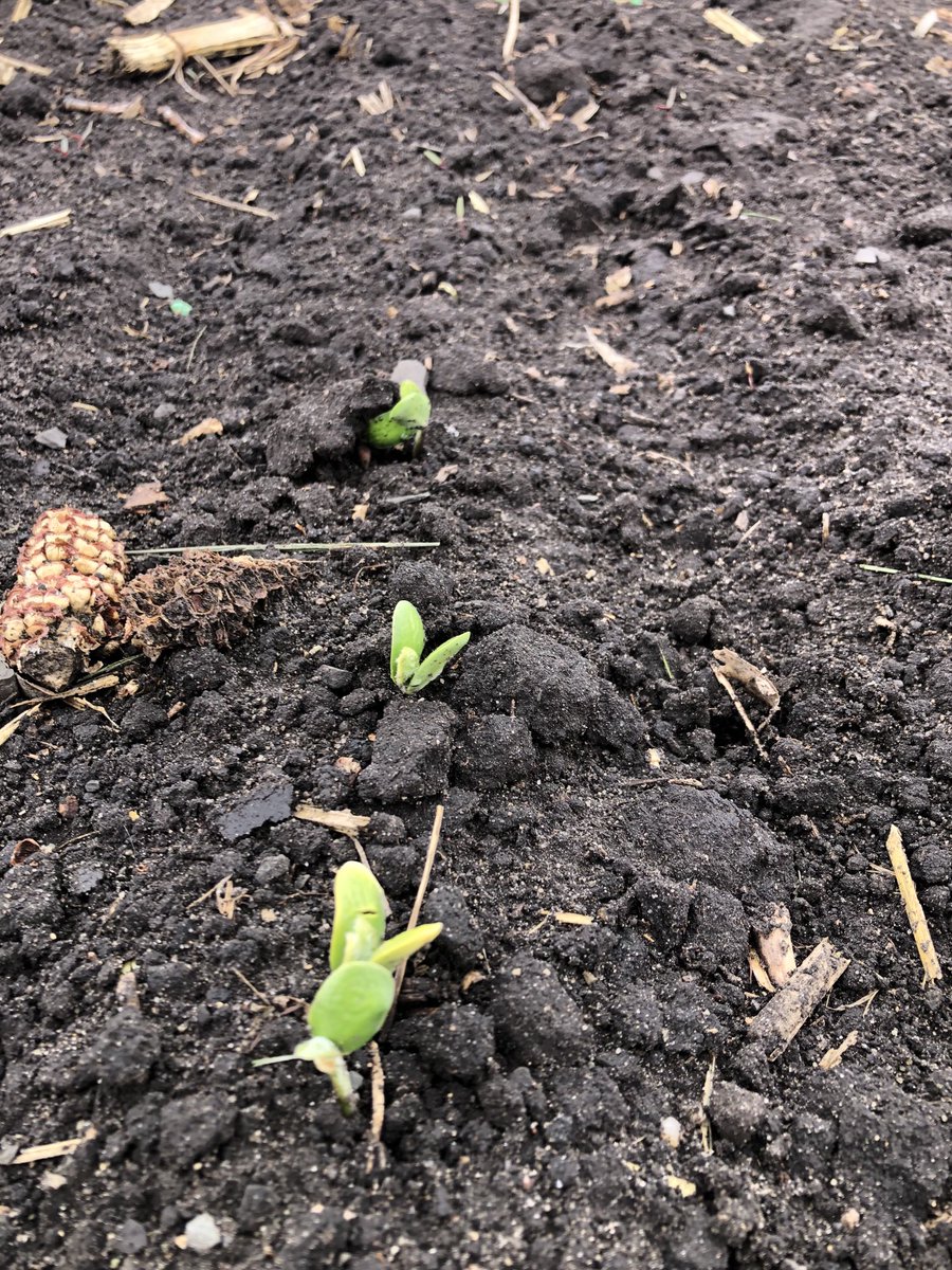 Hope it doesn’t get too too cold