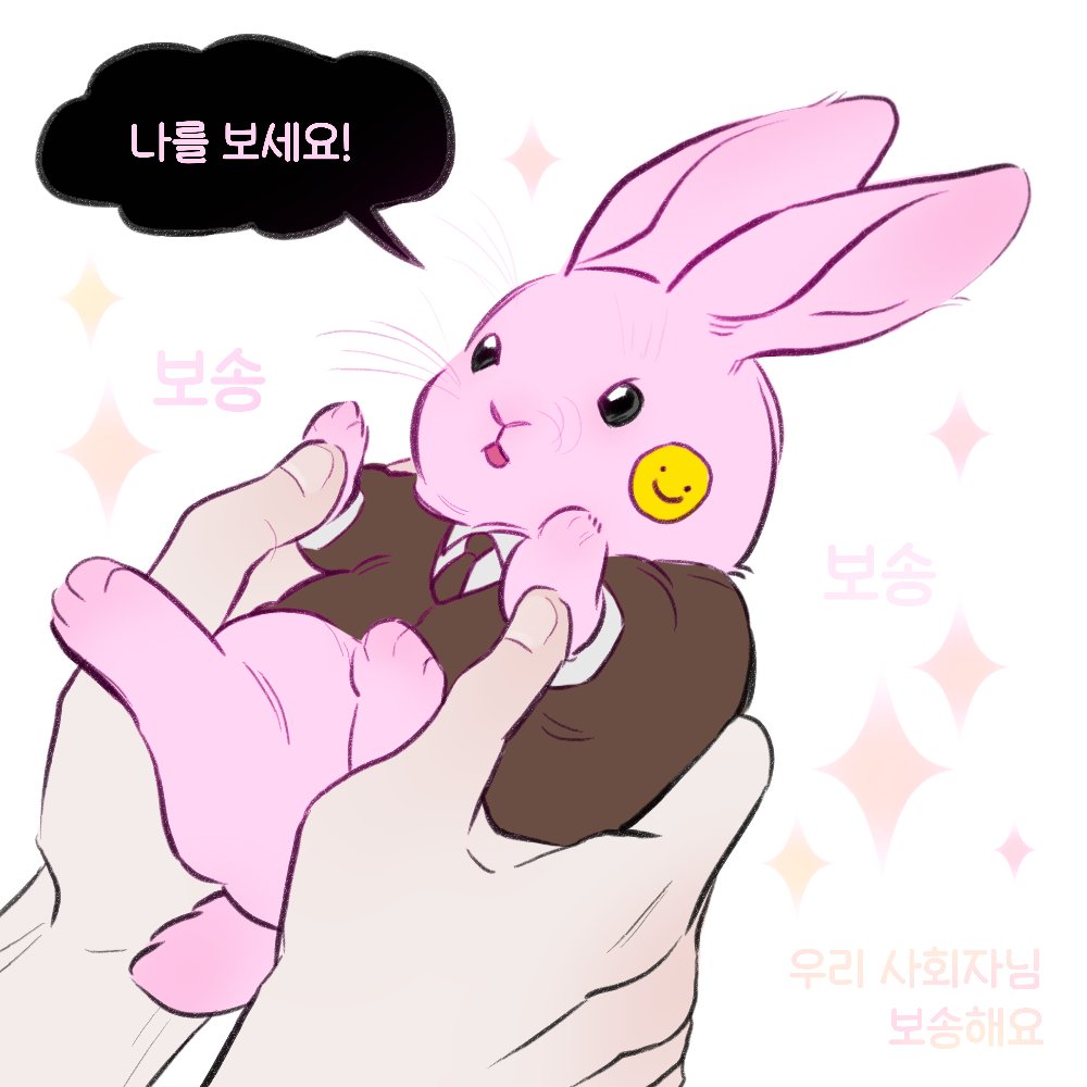 며칠째 이 모습이 머리에서 떠나질 않아서 결국 보송 브라운을...