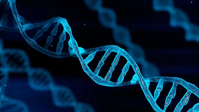 You’ve been told aging is normal.

David Sinclair spent 30+ years proving it’s optional.

The Harvard professor says it’s not about genetics, but about preventing damage.

Here are 5 actions you can take TODAY to slow down aging (backed by science):🧵