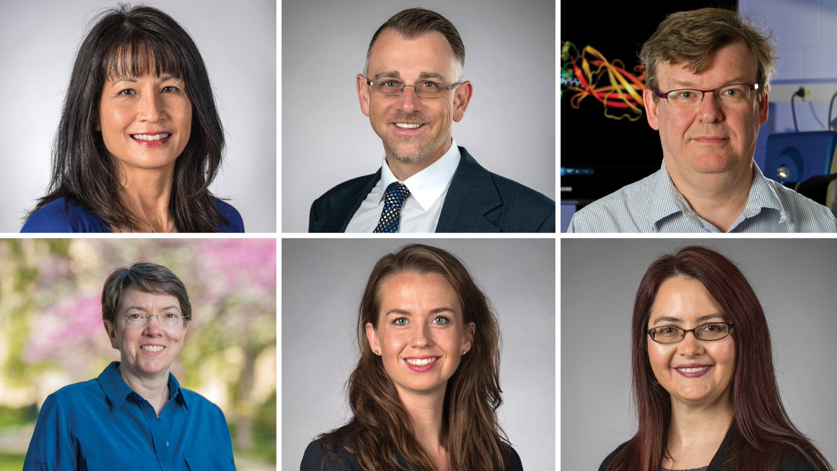 Congratulations to the 6 College of Science faculty members recognized as 2025 Faculty Award winners by the Office of the Provost!

bit.ly/44EEGbl