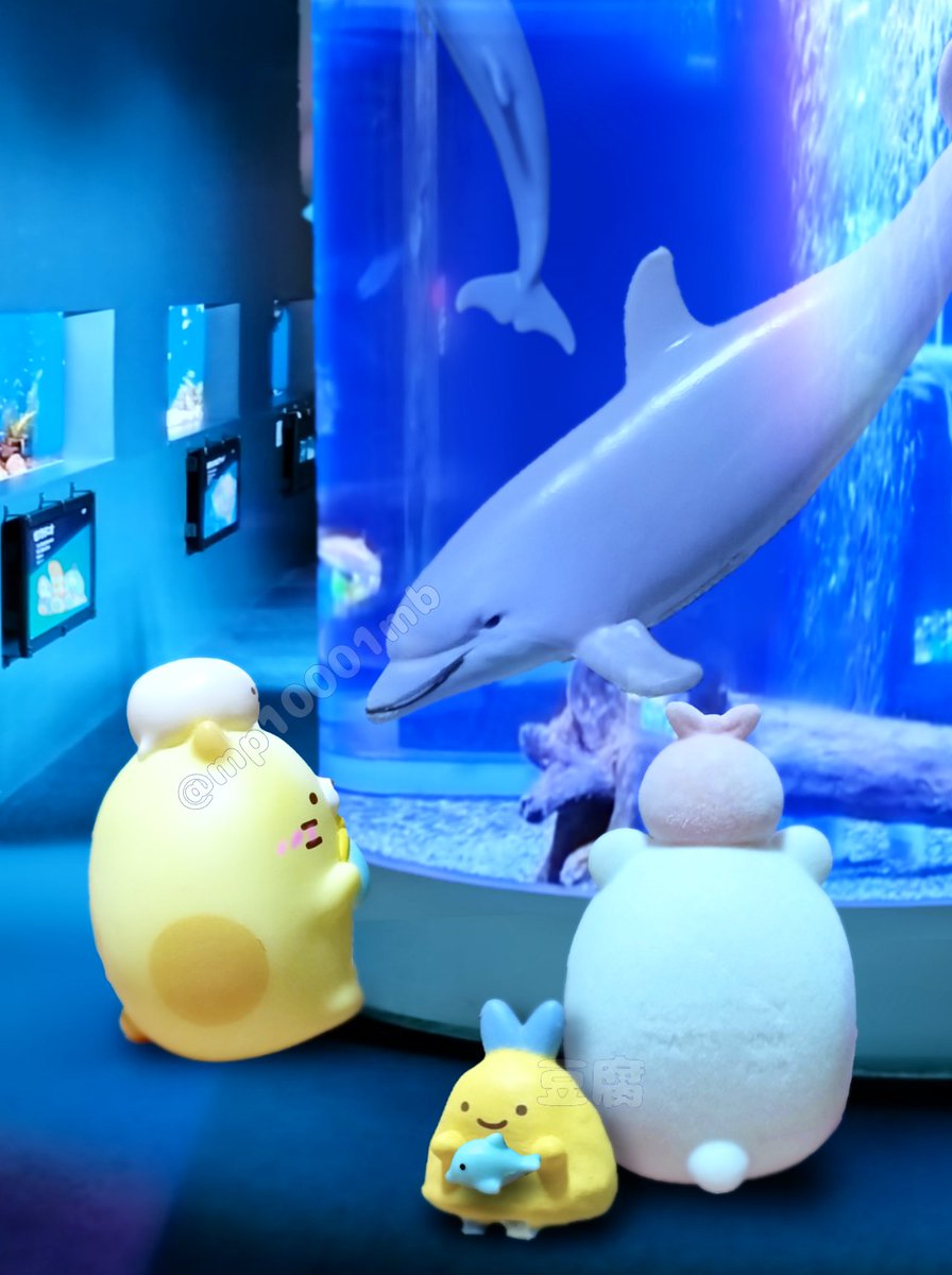 mp10001mb's tweet image. #おもちゃ撮影会
テーマ「水7」
水族館