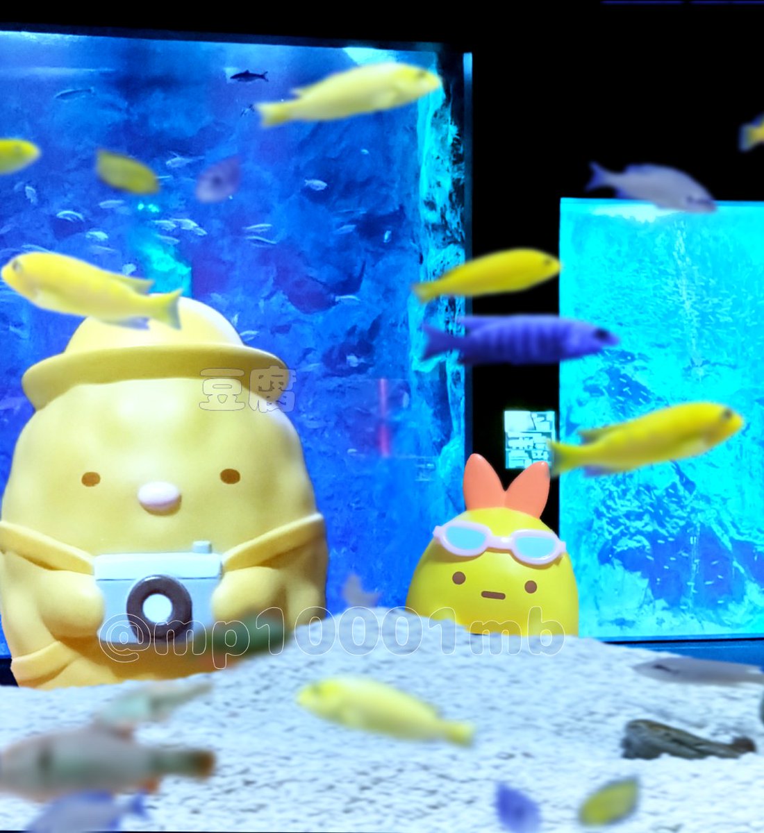 mp10001mb's tweet image. #おもちゃ撮影会
テーマ「水7」
水族館