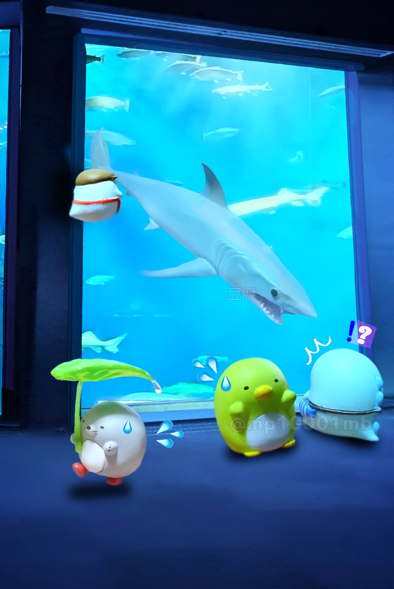 mp10001mb's tweet image. #おもちゃ撮影会
テーマ「水7」
水族館