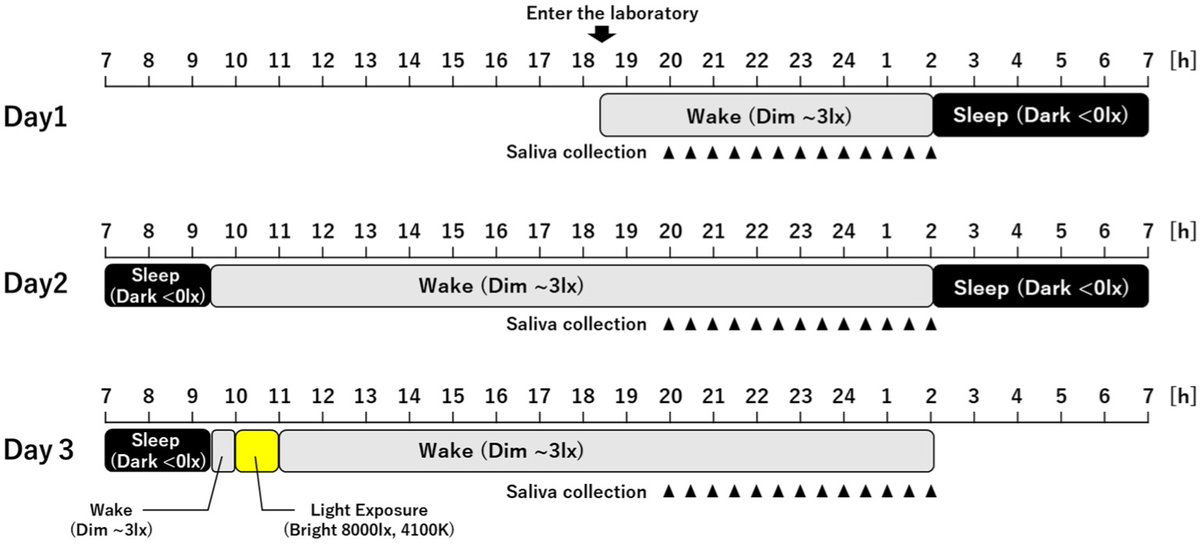 ⏰ From Dusk Till Dawn: How Light Guides Our #Sleep and Circadian Health

🌙 What happens to your body clock when you skip morning light? Can one bright morning undo a delayed circadian phase?

🔗Find out at: 
mdpi.com/2624-5175/5/4/…

#CircadianRhythm #Chronobiology #HealthTech