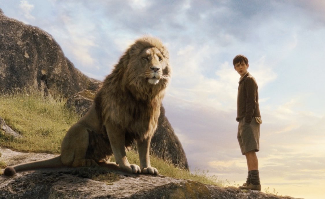 Tory Teach tweet media