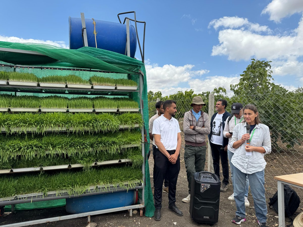 We’re still in Marchouch! 

ICARDA scientists are showcasing innovations firsthand in the field, including sustainable water management techniques, resilient crop varieties, genetic resources conservation, physiology &amp; breeding, and methane-reducing forages. 🌱💧🌾