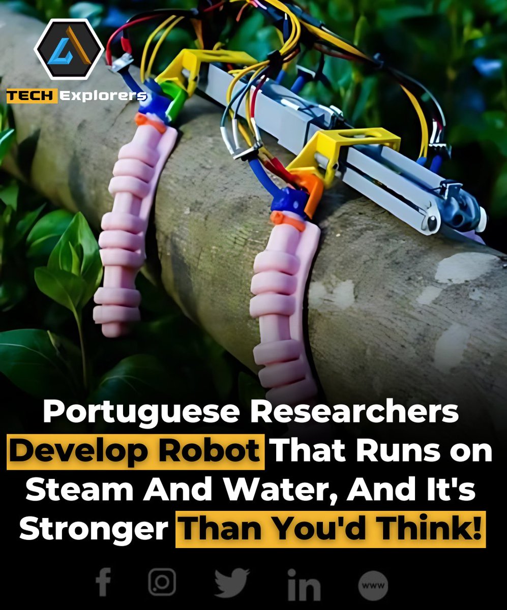themestimes's tweet image. Researchers at the University of Coimbra in Portugal have created a new soft robot technology that works using just water and heat.

#SoftRobotics #WaterPoweredTech #RoboticsInnovation #UniversityOfCoimbra #FutureOfRobots