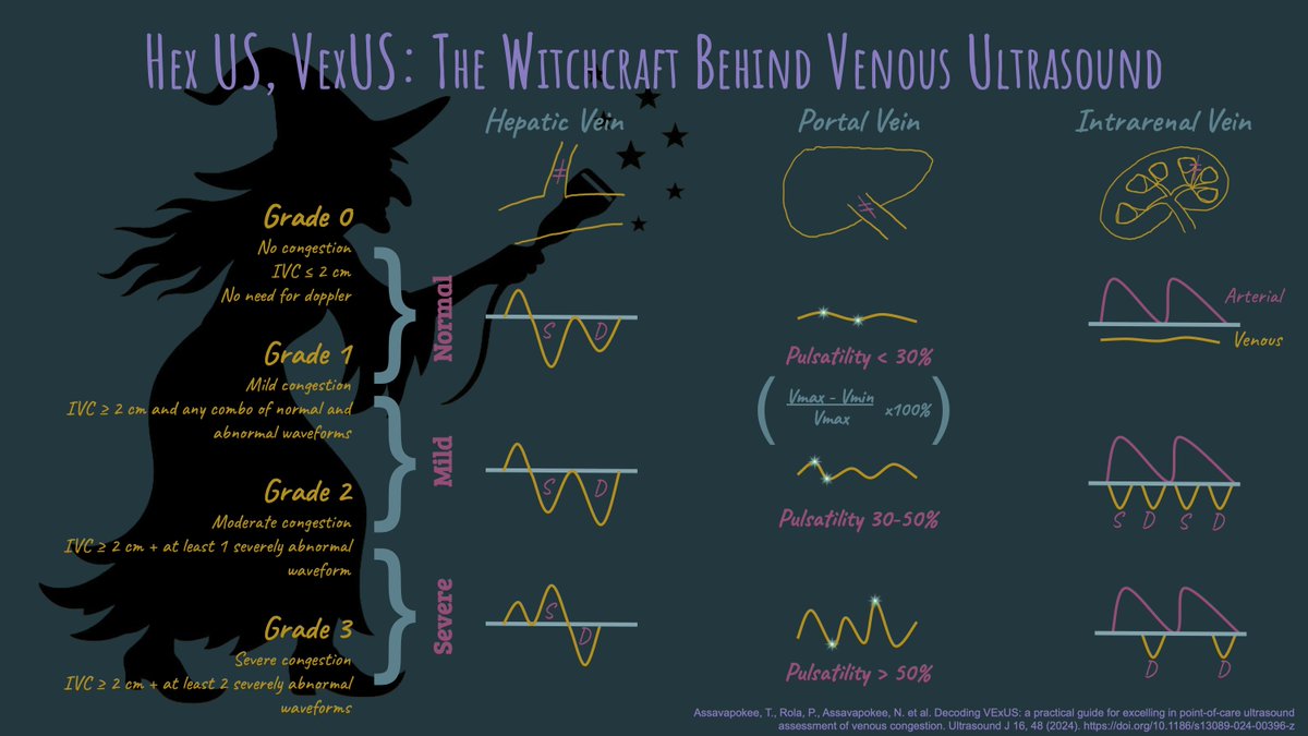 SAEM Academy of Emergency Ultrasound (AEUS) tweet media