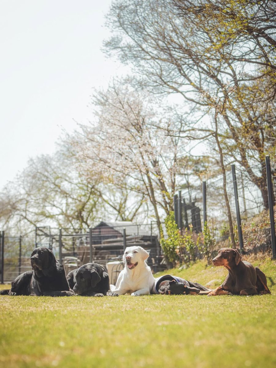 BTS Updates & Translations tweet media