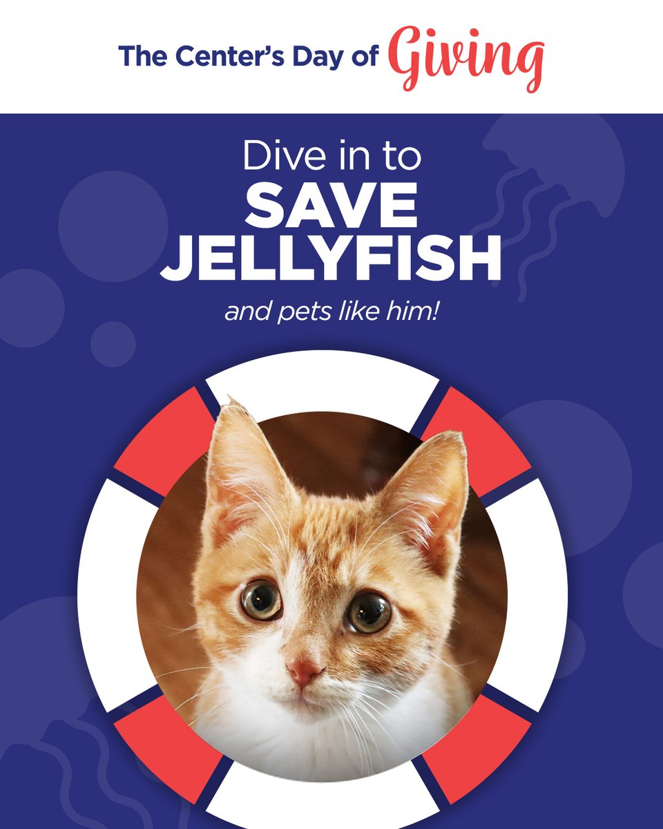 It’s Day of Giving at Helen Woodward Animal Center!
Meet Jellyfish, a 6-month-old kitten fighting for his life. His surgery is 2 weeks away—and your gift will be doubled thanks to a match in memory of Julia Sattari.
💙 Donate now at my.animalcenter.org/campaign/68886…
