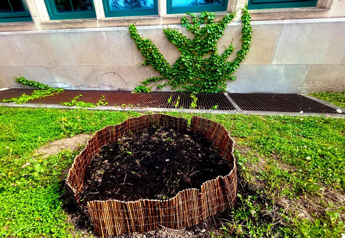 Cootes Paradise ES tweet media