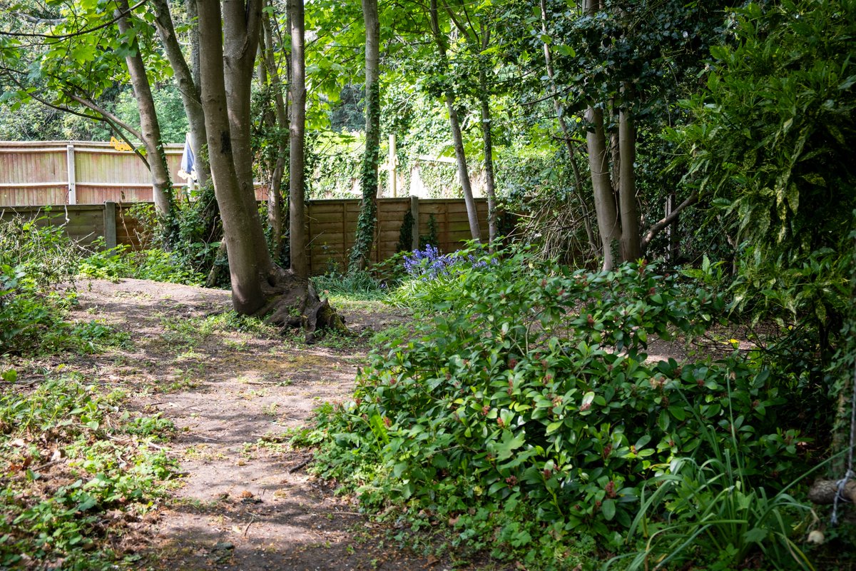 We’ve been busy helping Higham-on-the-Hill Primary School transform their outdoor space into a thriving eco garden!
Alongside Nuture and MAPP, we cleared debris, donated bug hotels, insect-friendly logs, and a wildlife camera.
Take a look at the transformation👇