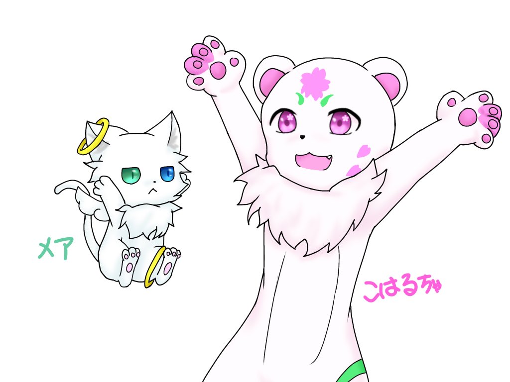 ここあしがれっと tweet media