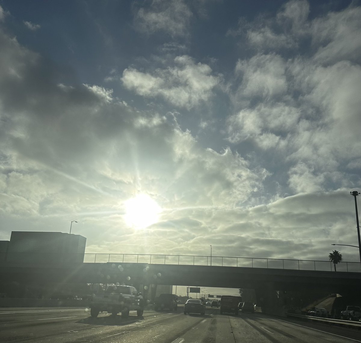 NKaravedas's tweet photo. Natural light=yes please! 😎

Have a GREAT DAY everyone 
#ThatDriveIn #Blessed #Cali https://t.co/4foxUfMyah