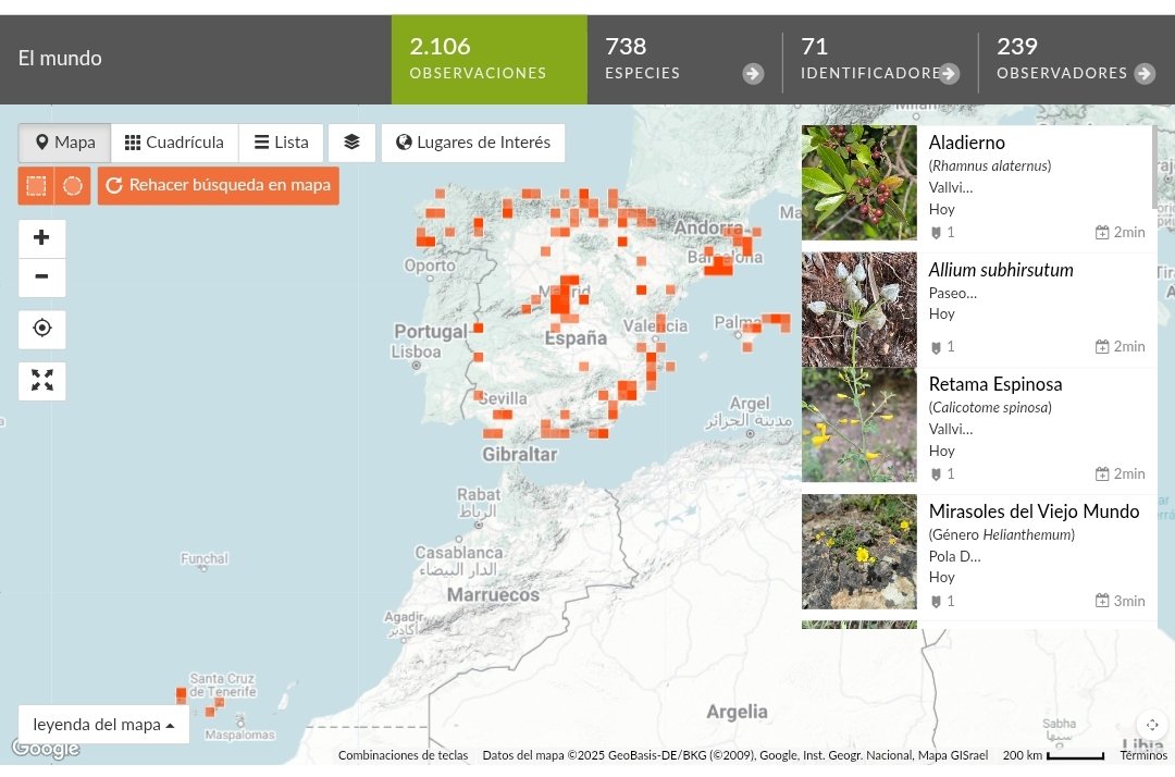 Biomaratón de Flora Española (@biomaraton) on Twitter photo Hoy ha comenzado el #VBiomaratón de Flora Española. ¡A esta hora ya tenemos más de 2000 observaciones en nuestro proyecto de <a href="/inaturalist/">iNaturalist</a>! Puedes seguir las observaciones en tiempo real en inaturalist.org/projects/v-bio…. Hoy ha comenzado el #VBiomaratón de Flora Española. ¡A esta hora ya tenemos más de 2000 observaciones en nuestro proyecto de <a href="/inaturalist/">iNaturalist</a>! Puedes seguir las observaciones en tiempo real en inaturalist.org/projects/v-bio….