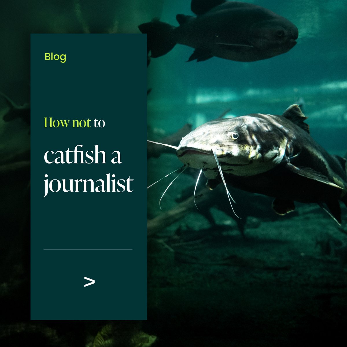 Aspectus Group tweet media