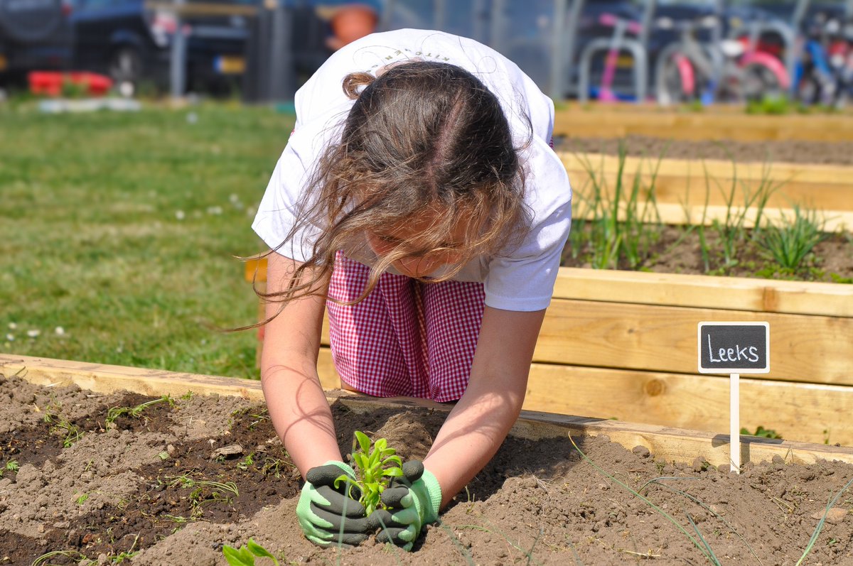 The Olive Dining allotment was a great success at Skinners Primary!

We hope the students enjoyed getting hands-on and growing a variety of delicious vegetables.   It’s been fantastic to see their enthusiasm for gardening and healthy eating!  

#OliveDining #SchoolAllotment