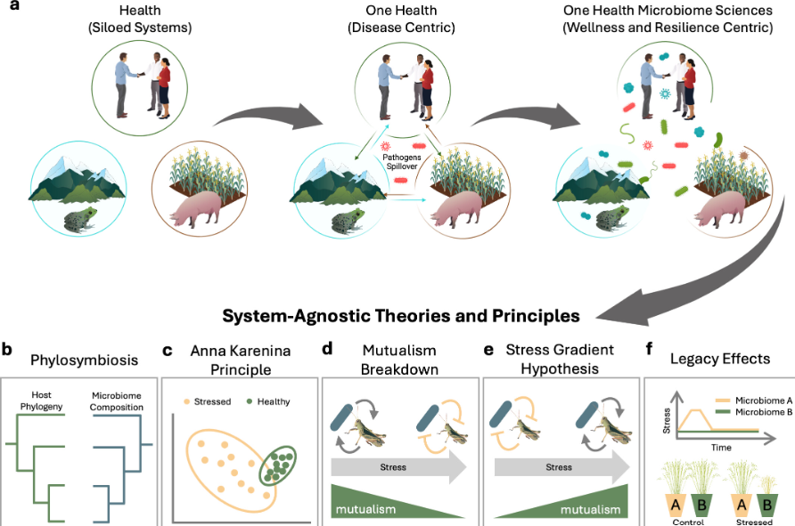 mBio (@mbiojournal) on Twitter photo #mBio Perspective by a team of researchers from <a href="/penn_state/">Penn State</a> <a href="/PSUmBiome/">One Health Microbiome Center</a> outlines how ecologically expanding the One Health framework to include all microbes can help unify the #microbiome sciences, promoting cross-system theories and principles. #OneHealth doi.org/10.1128/mbio.0… #mBio Perspective by a team of researchers from <a href="/penn_state/">Penn State</a> <a href="/PSUmBiome/">One Health Microbiome Center</a> outlines how ecologically expanding the One Health framework to include all microbes can help unify the #microbiome sciences, promoting cross-system theories and principles. #OneHealth doi.org/10.1128/mbio.0…