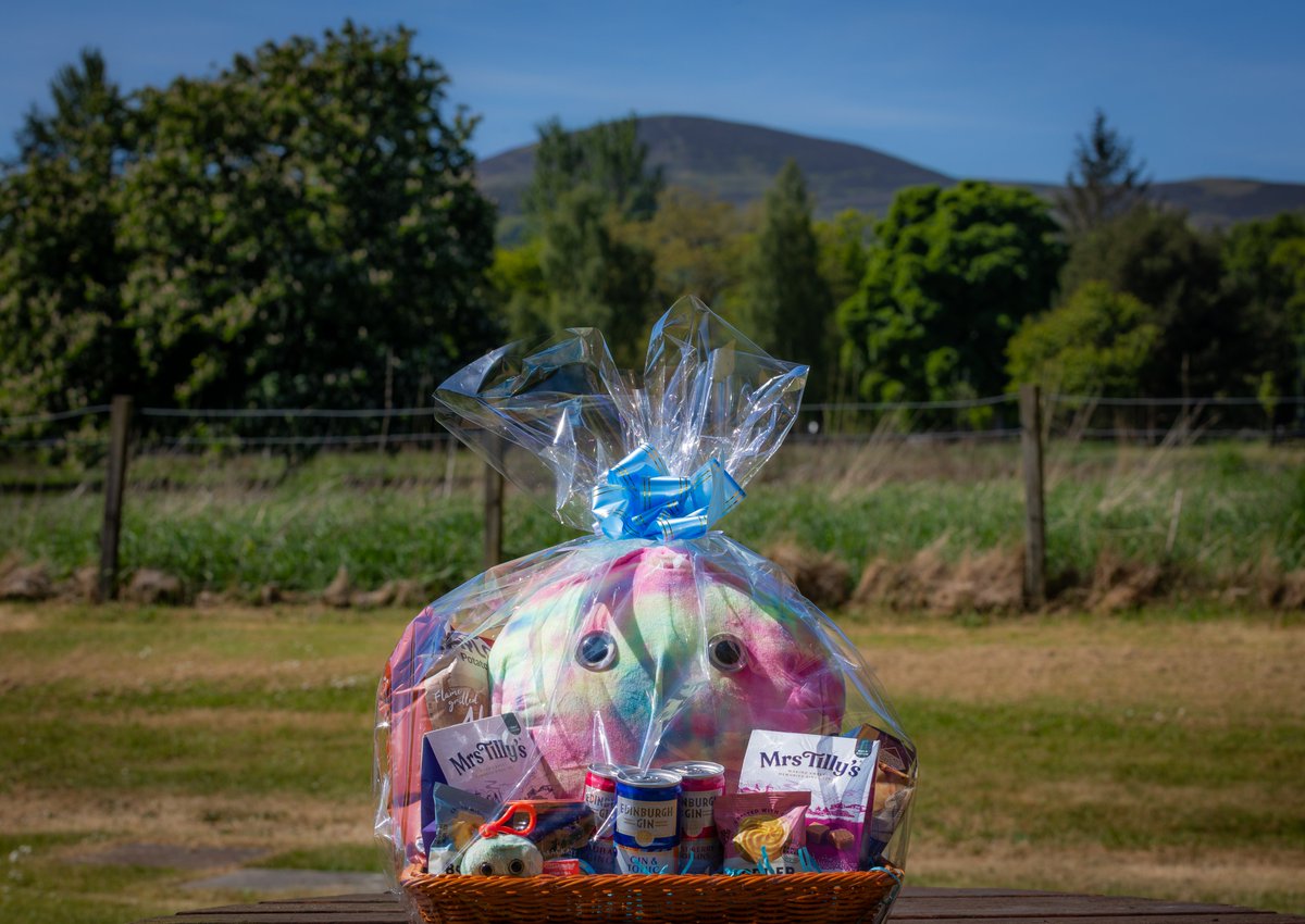 We’re excited to be attending VOACON 2025 next week, where we’ll be sharing a trade stand with our partners at Nupsala!

While you're there, don’t miss the chance to enter our free prize draw to win a hamper packed with stem cell and Scottish themed goodies!

See you there!