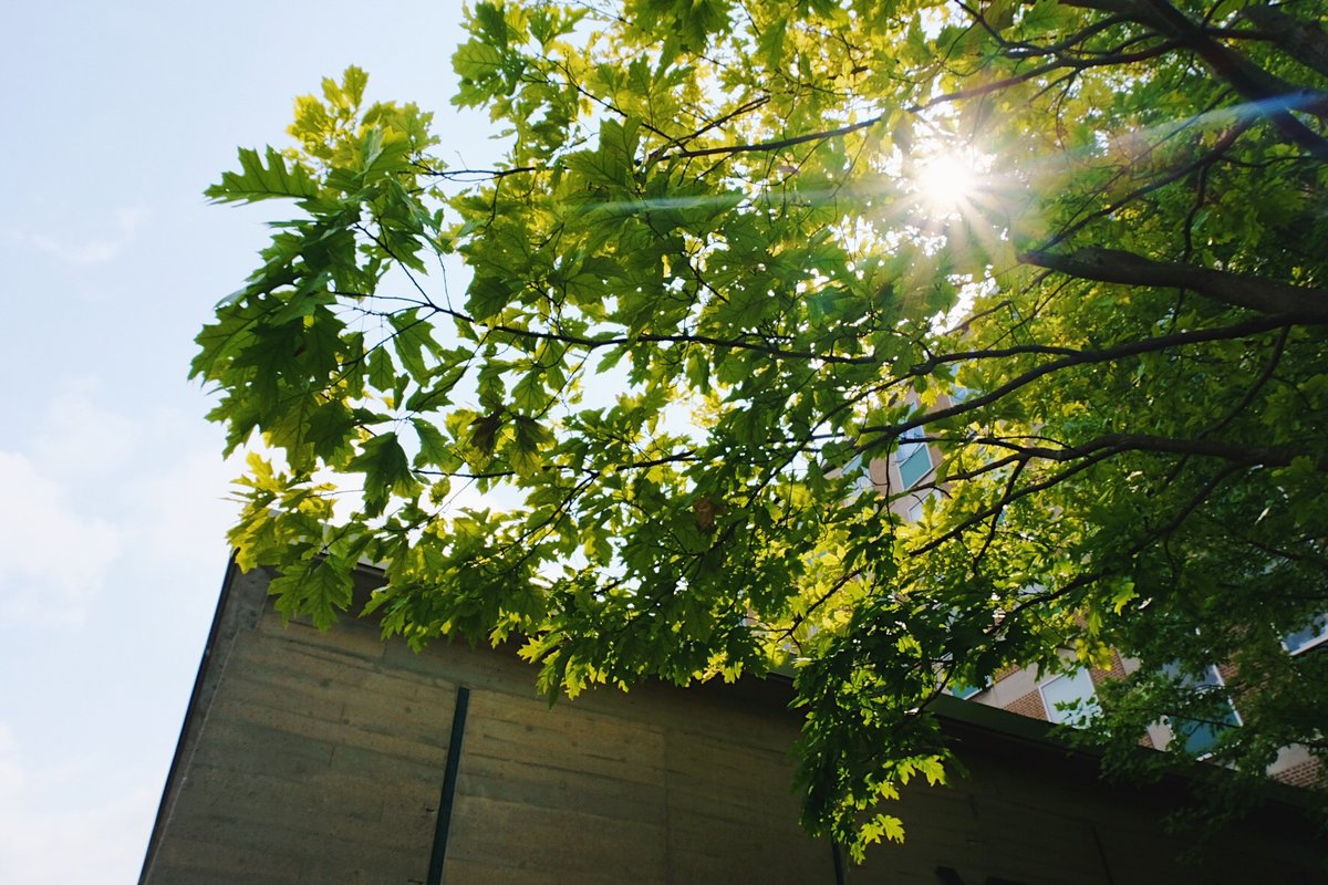 U of T Arts & Science Registrar (@artsciregistrar) on Twitter photo Please note that the Faculty Registrar's Office will be closed today (Thursday, May 15, 2025) from 2 p.m. until Tuesday, May 20, 2025, at 10 a.m.
Visit our website for more details on our opening hours: artsci.utoronto.ca/current/facult… Please note that the Faculty Registrar's Office will be closed today (Thursday, May 15, 2025) from 2 p.m. until Tuesday, May 20, 2025, at 10 a.m.
Visit our website for more details on our opening hours: artsci.utoronto.ca/current/facult…