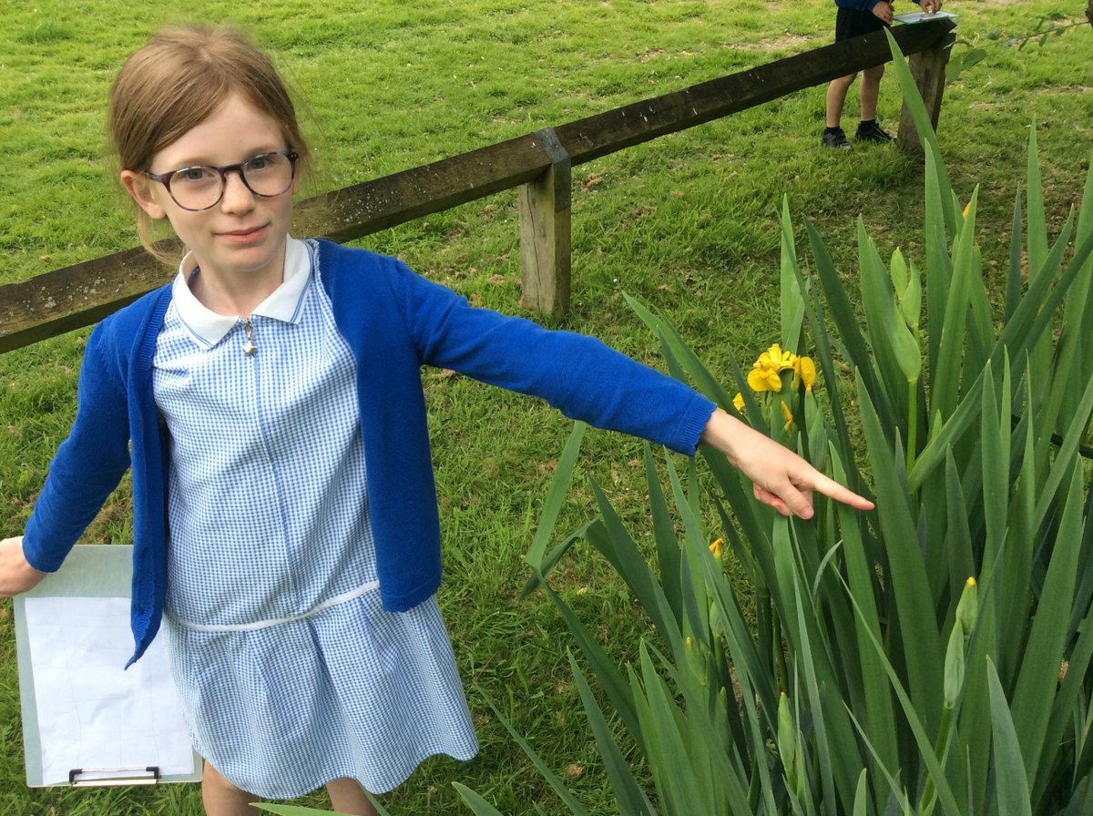 This afternoon, Year 2 have had a fantastic time pond dipping at Rockery Close. They found lots of different minibeasts in lots of different habitats. The children were super excited when they found newts in the pond🐞🐝🦋