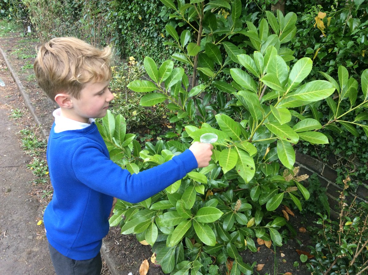 Kibworth CE Primary tweet media