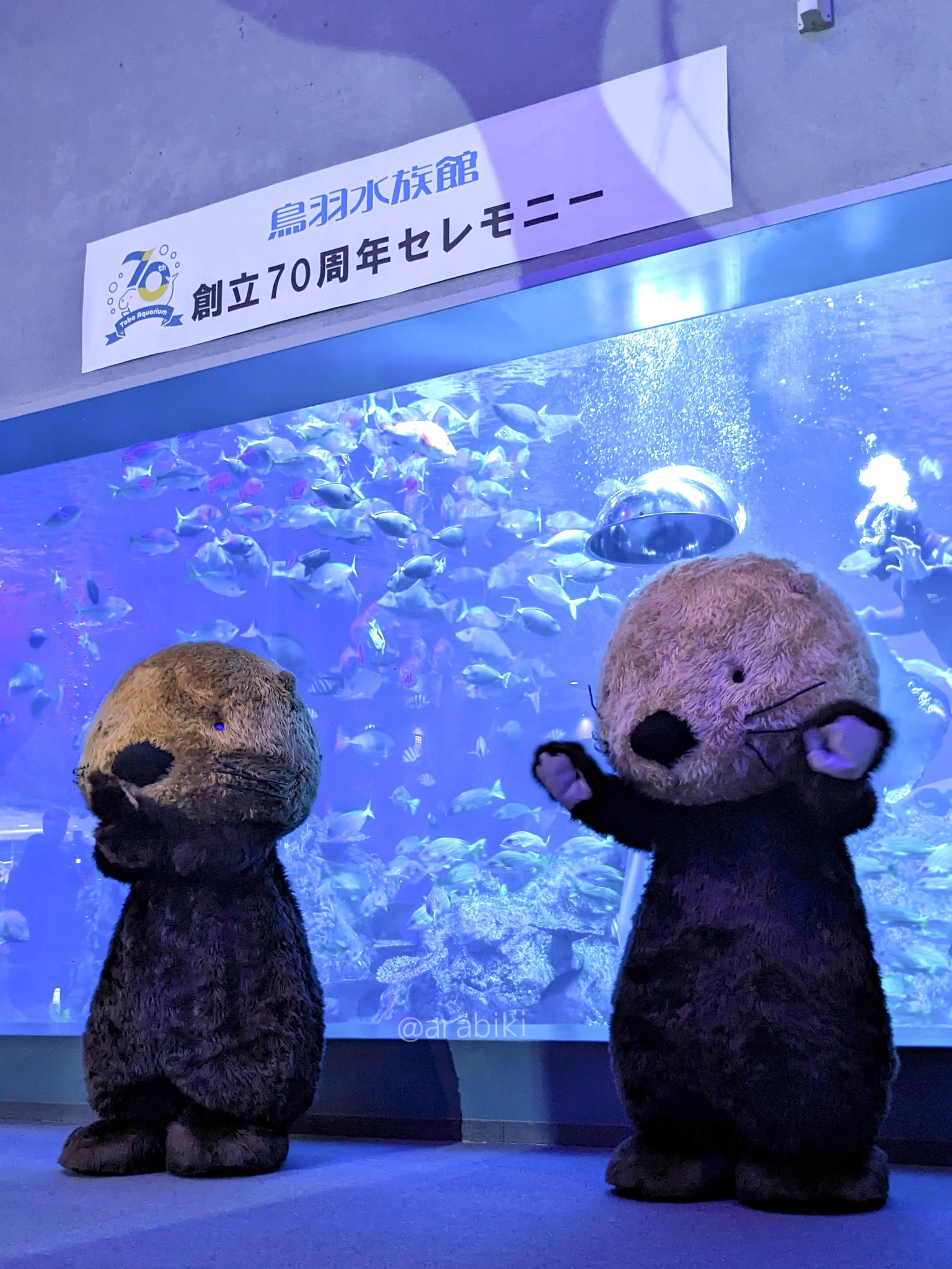 あらびき(ラッコ用だけどほぼ本アカ) on X: 