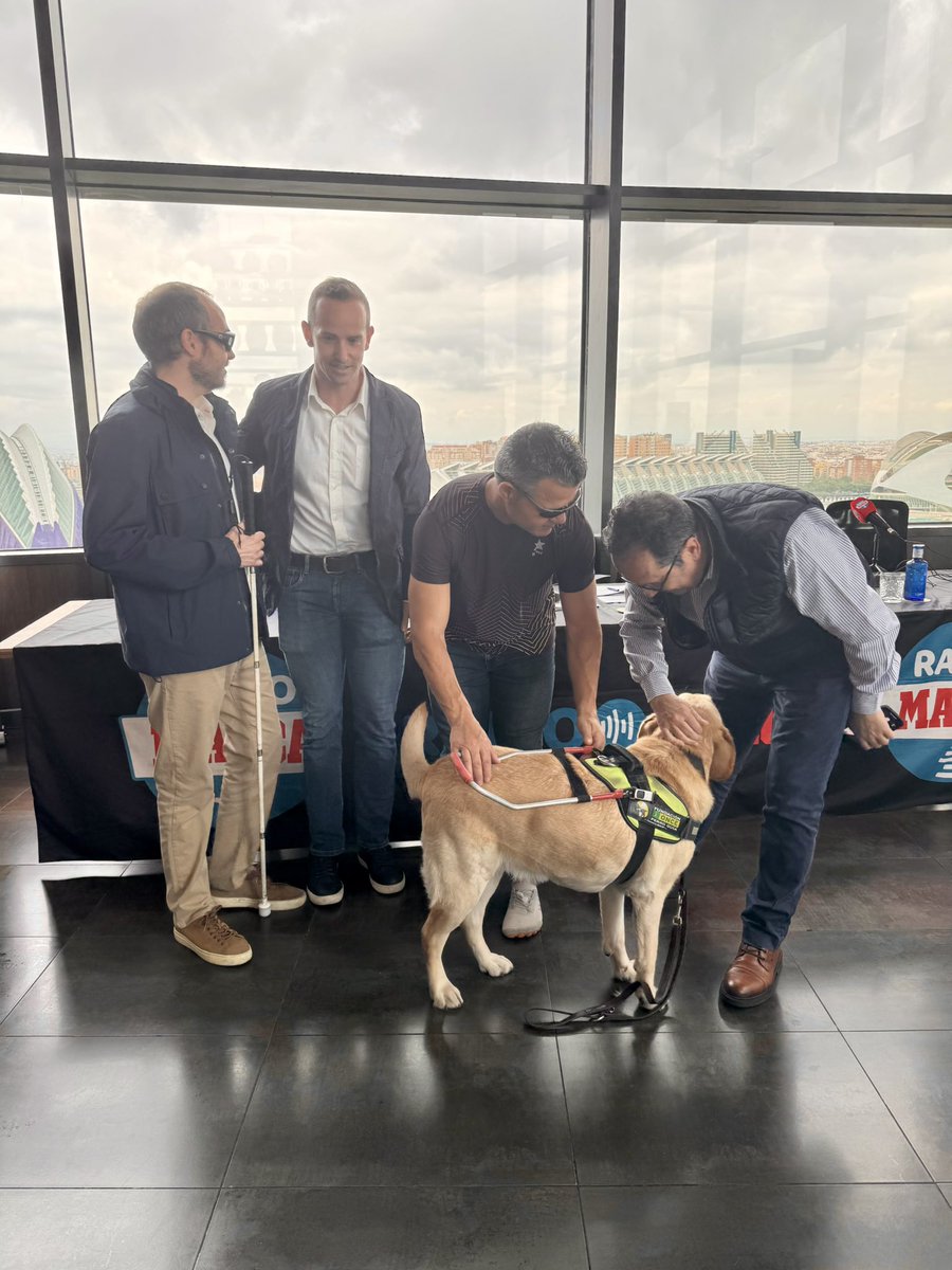 Elena Barrena tweet media