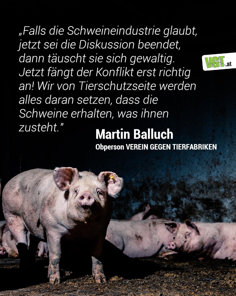 VGT - VEREIN GEGEN TIERFABRIKEN tweet media
