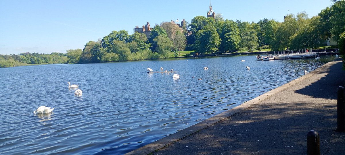 ChristinaC55885's tweet image. Linlithgow loch today. #linlithgow #linlithgowpalace