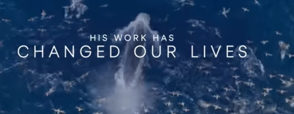 Den største naturforkæmper af dem alle 💚 💙 
Tillykke med de 99 år &amp; fantastisk ny film om havets forunderlige liv 🐠🐳🐬🦞🪼  #DavidAttenborough #OceanFilm #dkgreen #dkhav