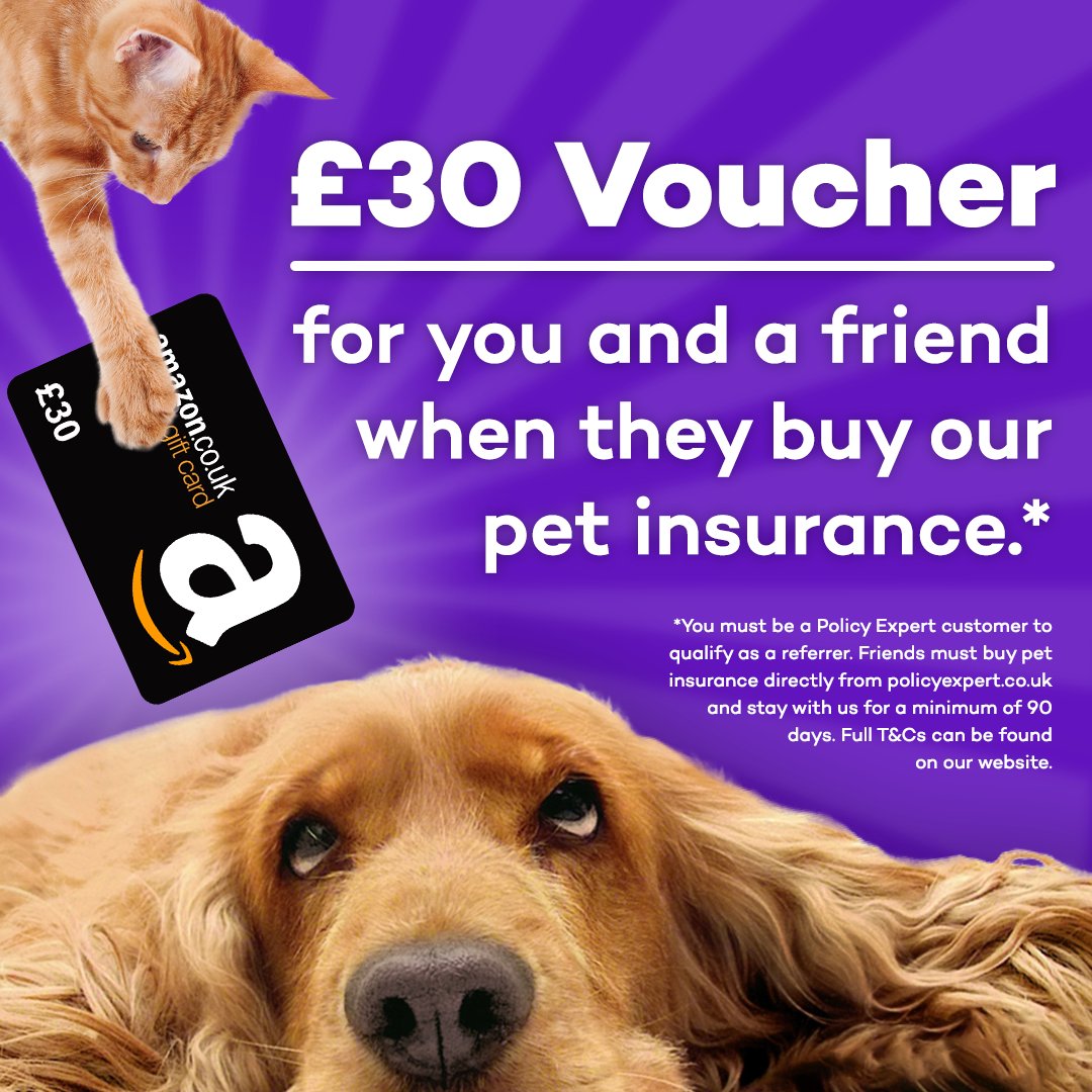 Got a friend with a pet? 🐶😺 If you recommend us to a friend and they take out Policy Expert pet insurance, we’ll give you both £30 Amazon vouchers! Log into your customer account to get your sharing link and start spreading the word 📣
T&amp;Cs here: ow.ly/sig150Vs893