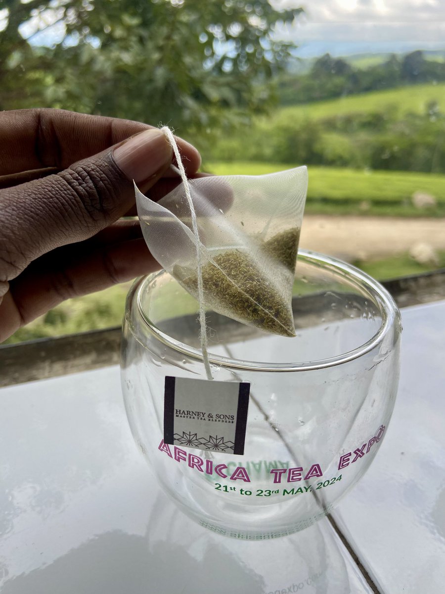 Chero_Sharon's tweet image. Office views &amp;amp; Chai from the Master Tea Blenders @HarneyTea 😋
I feel like Royalty fr! 

#SpecialityTea