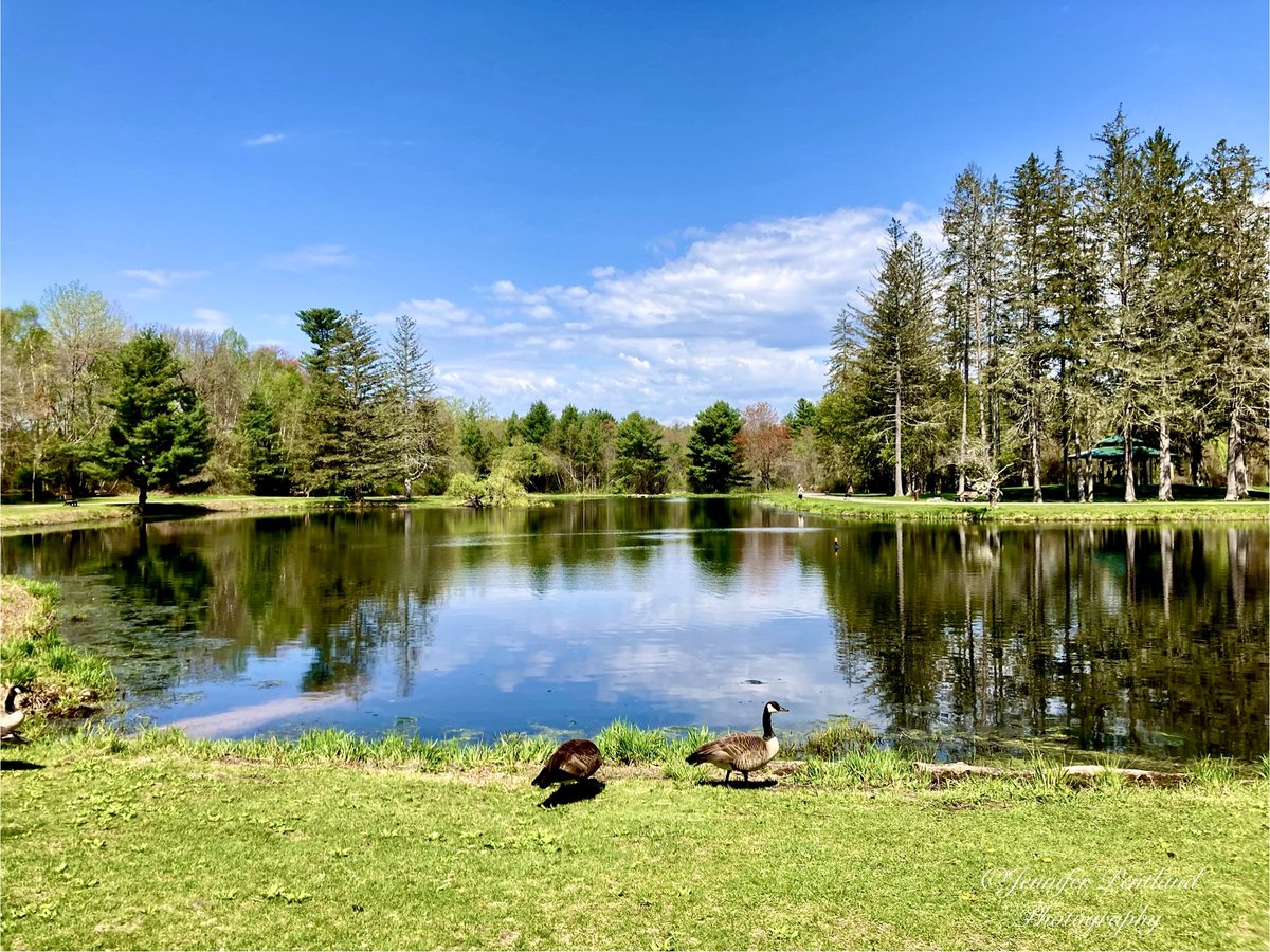 Lake’s quiet edge.