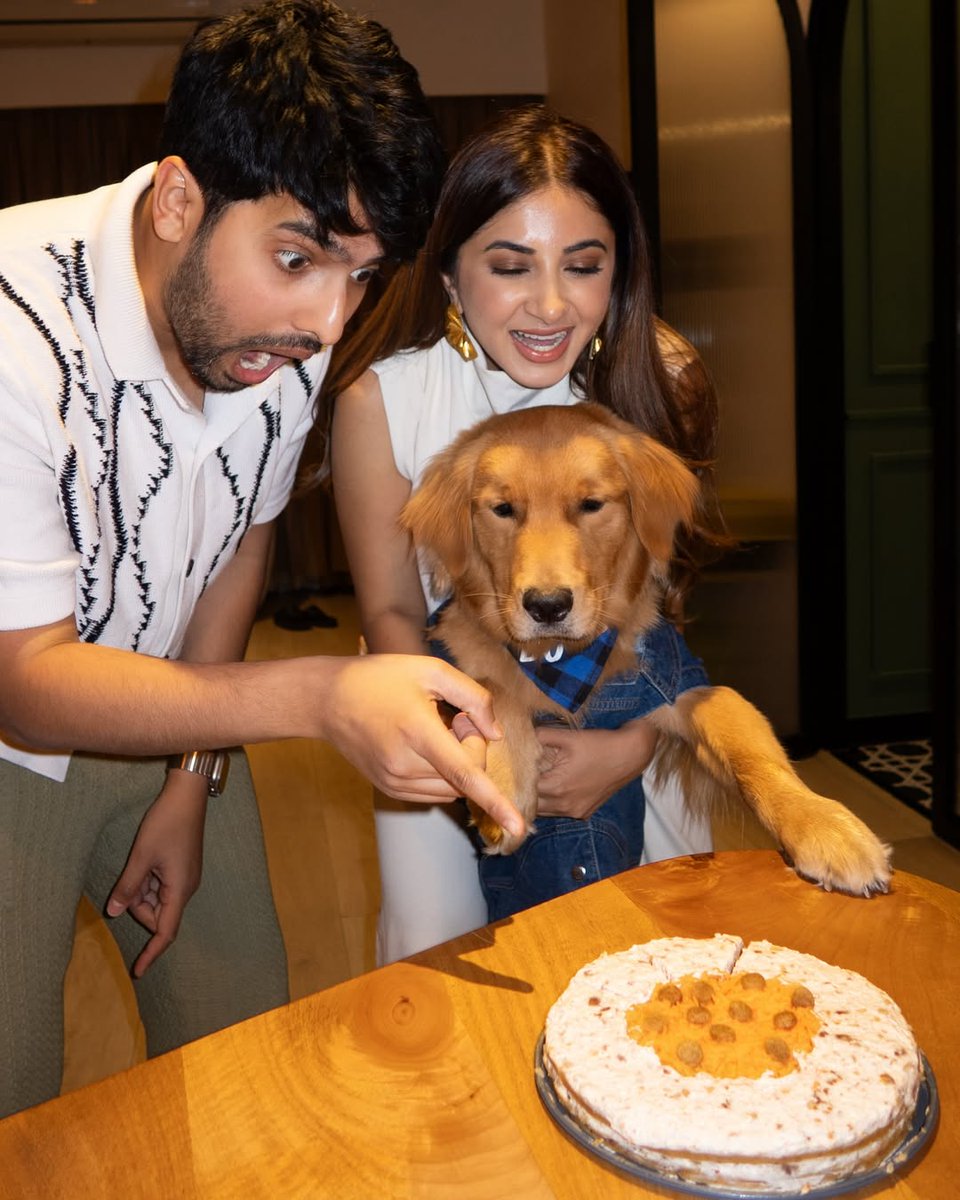#ArmaanMalik and #AashnaShroff celebrate their fur baby Tofu's first birthday

<a href="/ArmaanMalik22/">ARMAAN ✦</a> #petparents #pawfriend #birthday #furbaby #Bollywood