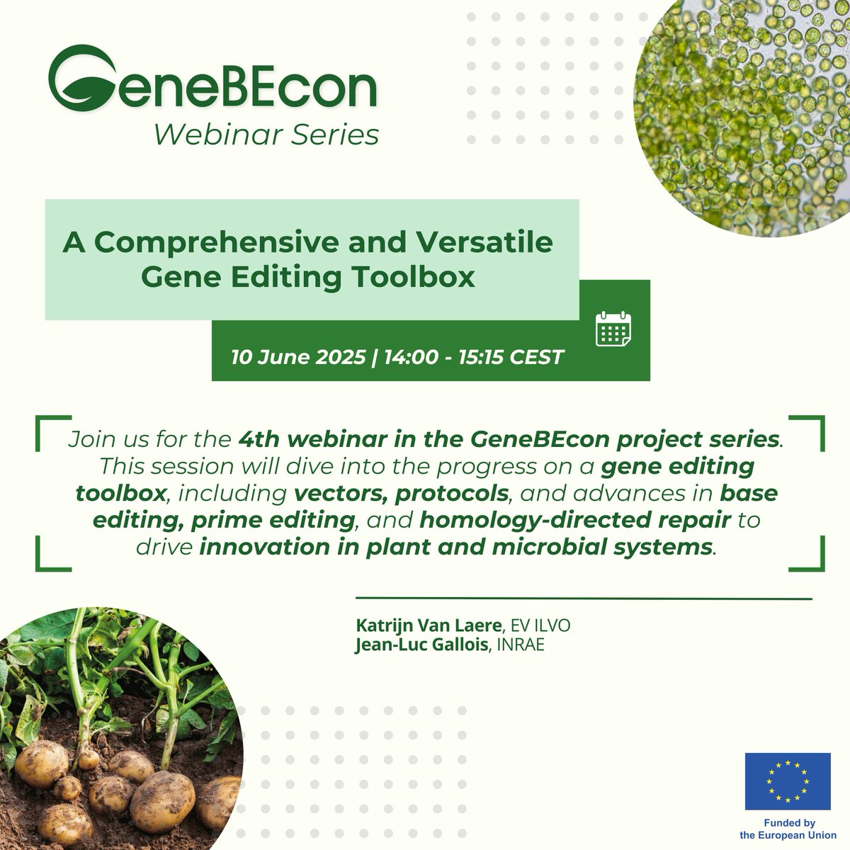 📢 𝗝𝗼𝗶𝗻 𝗚𝗲𝗻𝗲𝗕𝗘𝗰𝗼𝗻 𝗪𝗲𝗯𝗶𝗻𝗮𝗿 𝗦𝗲𝗿𝗶𝗲𝘀!

💡 Our 4⃣th webinar is dedicated to 𝗔 𝗖𝗼𝗺𝗽𝗿𝗲𝗵𝗲𝗻𝘀𝗶𝘃𝗲 𝗮𝗻𝗱 𝗩𝗲𝗿𝘀𝗮𝘁𝗶𝗹𝗲 𝗚𝗲𝗻𝗲 𝗘𝗱𝗶𝘁𝗶𝗻𝗴 𝗧𝗼𝗼𝗹𝗯𝗼𝘅!

🗓️ Tuesday, 10 June

Register here 👉genebecon.eu/webinar-series/

#geneediting #NGT