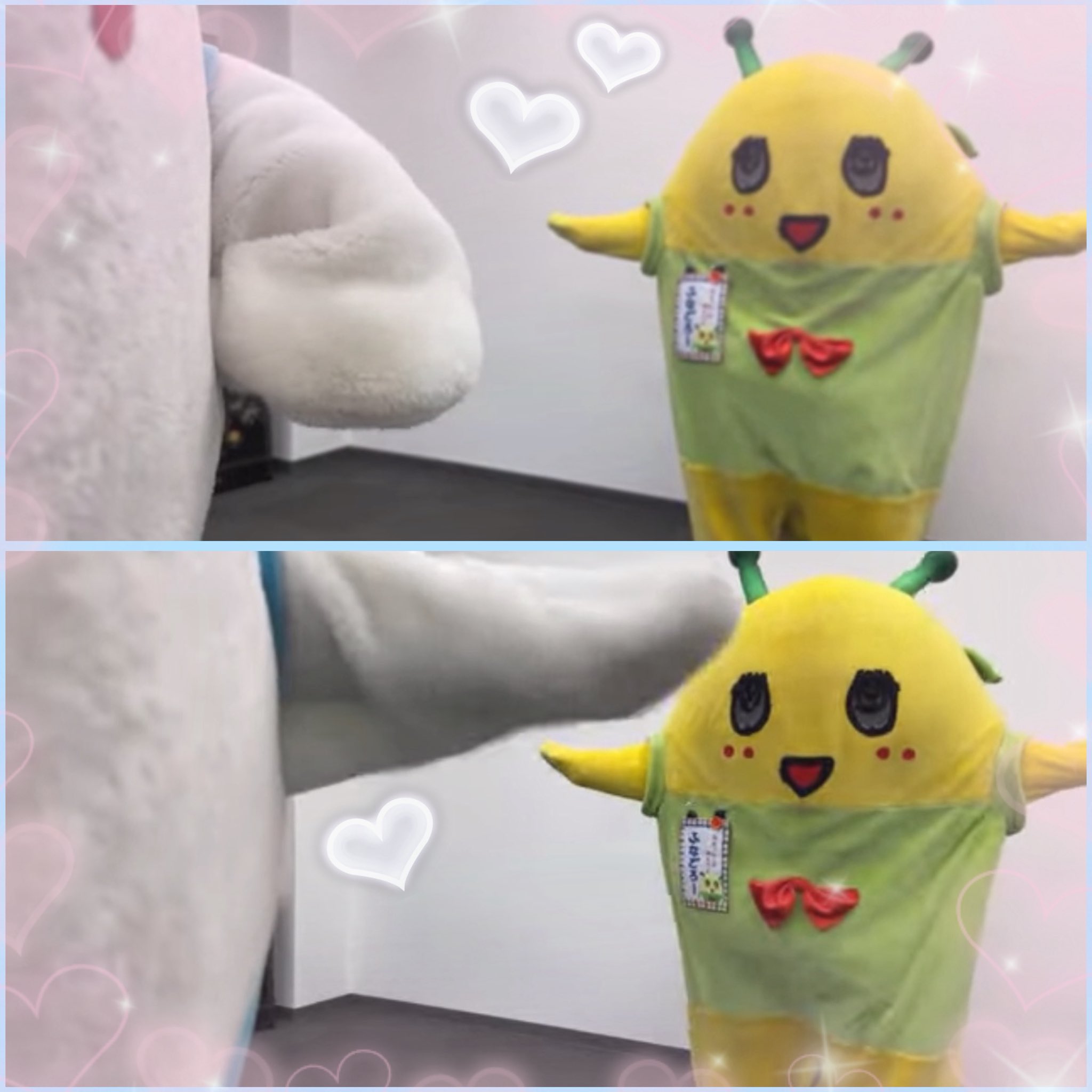 はるか❤︎224(ฅ'ω'ฅ)ྀི (@haru_funya224) / X