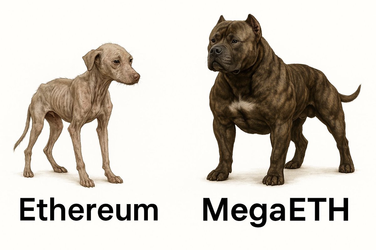 Yulian12451's tweet photo. @megaeth  we are coming for you @VitalikButerin 

#Crypto #Ethereum #MegaETH #Blockchain #DeFi #Web3 #CryptoMeme #CryptoHumor #MemeCoin #CryptoGainz #WeakVsStrong #FromETHToMega #CryptoTransformation #HodlPower #DogMemeCrypto #ETHGlowUp https://t.co/5bDJloik8f