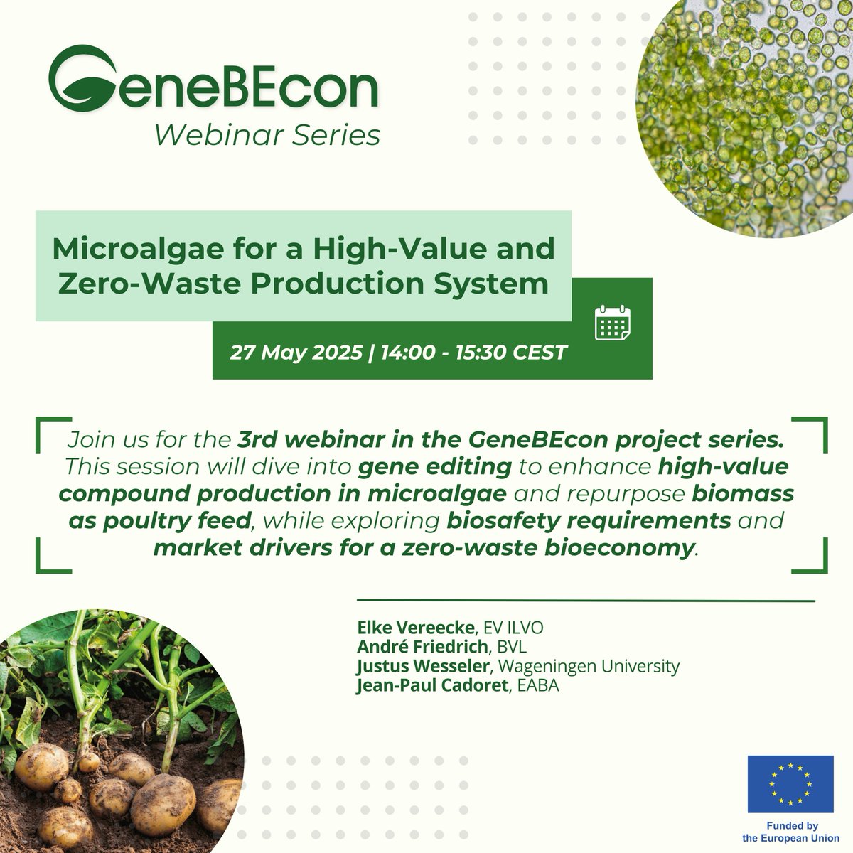 📢 𝗝𝗼𝗶𝗻 𝗚𝗲𝗻𝗲𝗕𝗘𝗰𝗼𝗻 𝗪𝗲𝗯𝗶𝗻𝗮𝗿 𝗦𝗲𝗿𝗶𝗲𝘀!

💡Our 3⃣rd webinar will focus on 𝗠𝗶𝗰𝗿𝗼𝗮𝗹𝗴𝗮𝗲 𝗳𝗼𝗿 𝗮 𝗛𝗶𝗴𝗵-𝗩𝗮𝗹𝘂𝗲 𝗮𝗻𝗱 𝗭𝗲𝗿𝗼-𝗪𝗮𝘀𝘁𝗲 𝗣𝗿𝗼𝗱𝘂𝗰𝘁𝗶𝗼𝗻 𝗦𝘆𝘀𝘁𝗲𝗺!

🗓️Tuesday, 27 May

Register here👉genebecon.eu/webinar-series/

#geneediting
